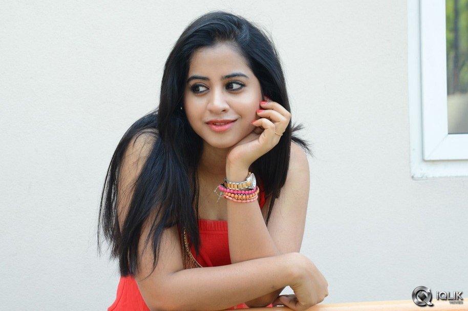 Swathi-Deekshith-at-Ladies-and-Gentlemen-Movie-Success-Meet